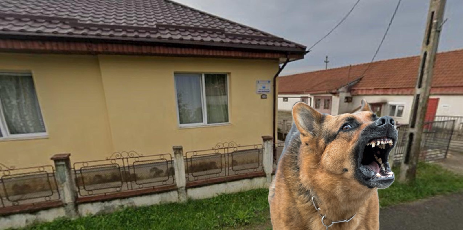 Tineri terorizați de un câine agresiv în Berindan, comuna Odoreu