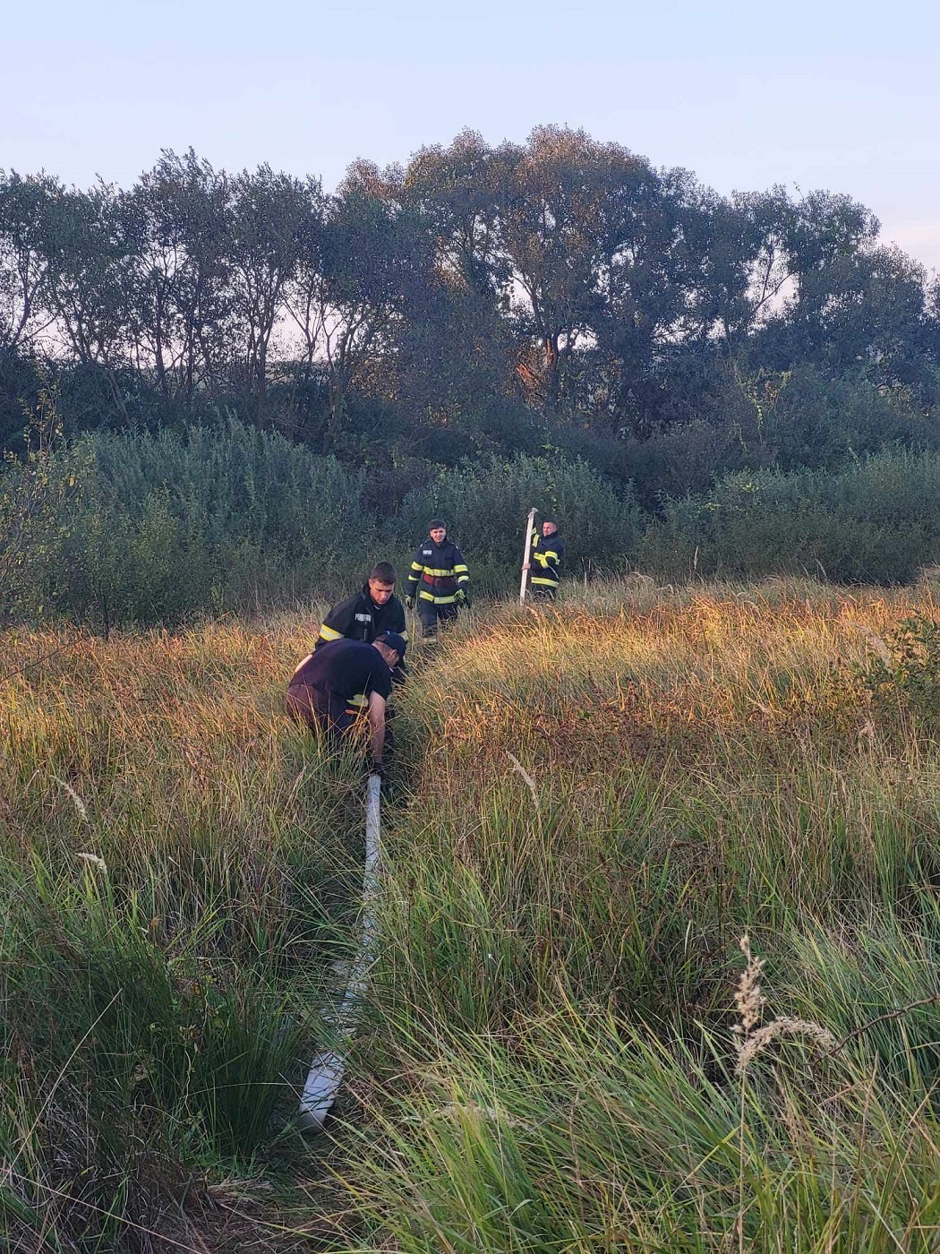 FOTO. Incendiu de amploare de vegetație uscată. Au ars 15 hectare de teren