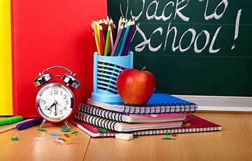 Siguranța școlară în anul școlar 2023-2024. Măsuri pentru începerea în condiții corespunzătoare a anului școlar 2024-2025