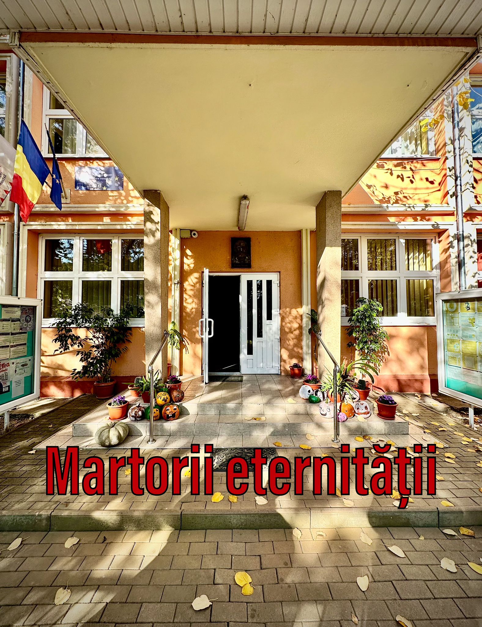 VERTICALI PENTRU ROMÂNIA: REGĂSIRI