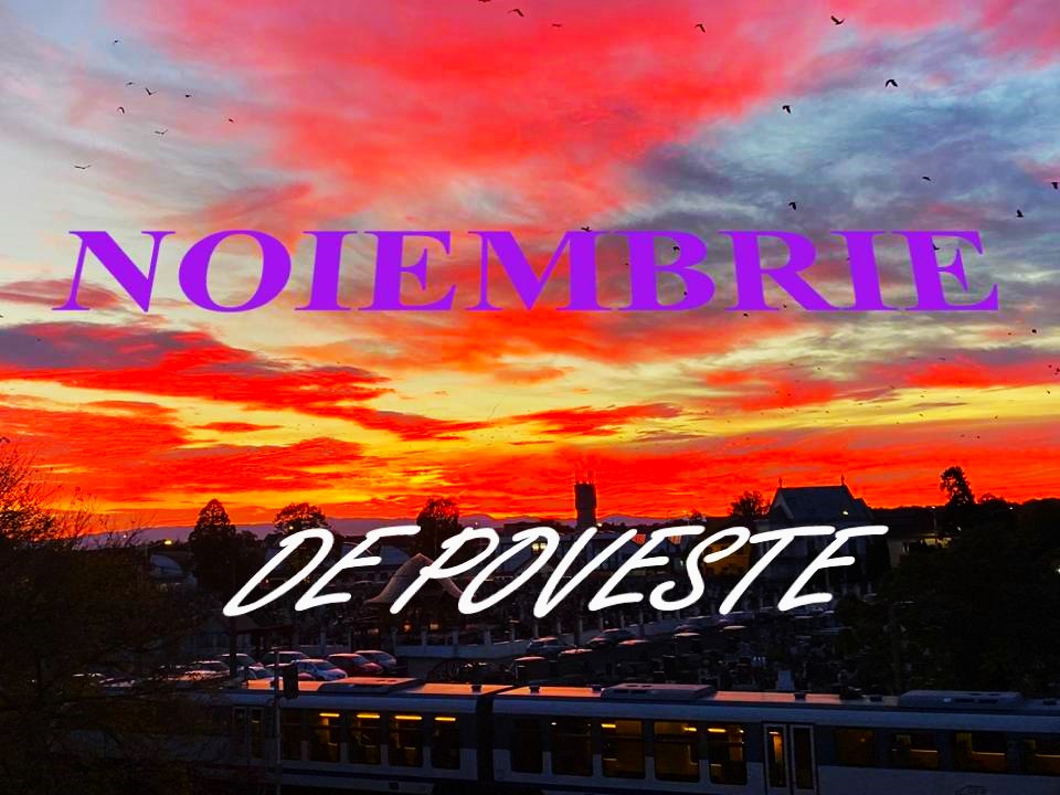 VERTICALI PENTRU ROMÂNIA: REGĂSIRI