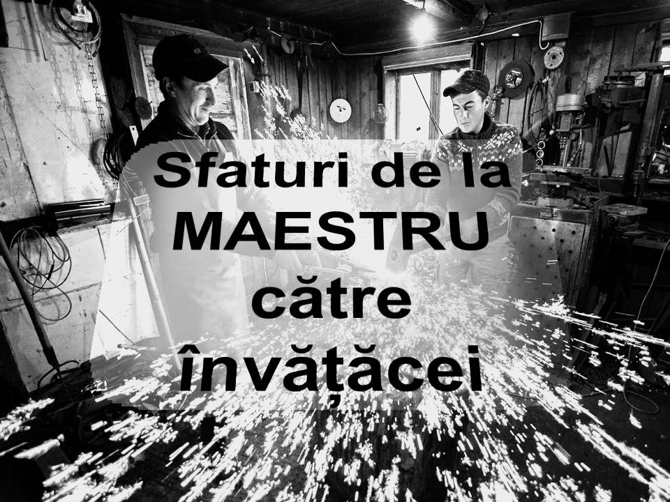 VERTICALI PENTRU ROMÂNIA: MAEȘTRI AI PRESEI ROMÂNEȘTI IX