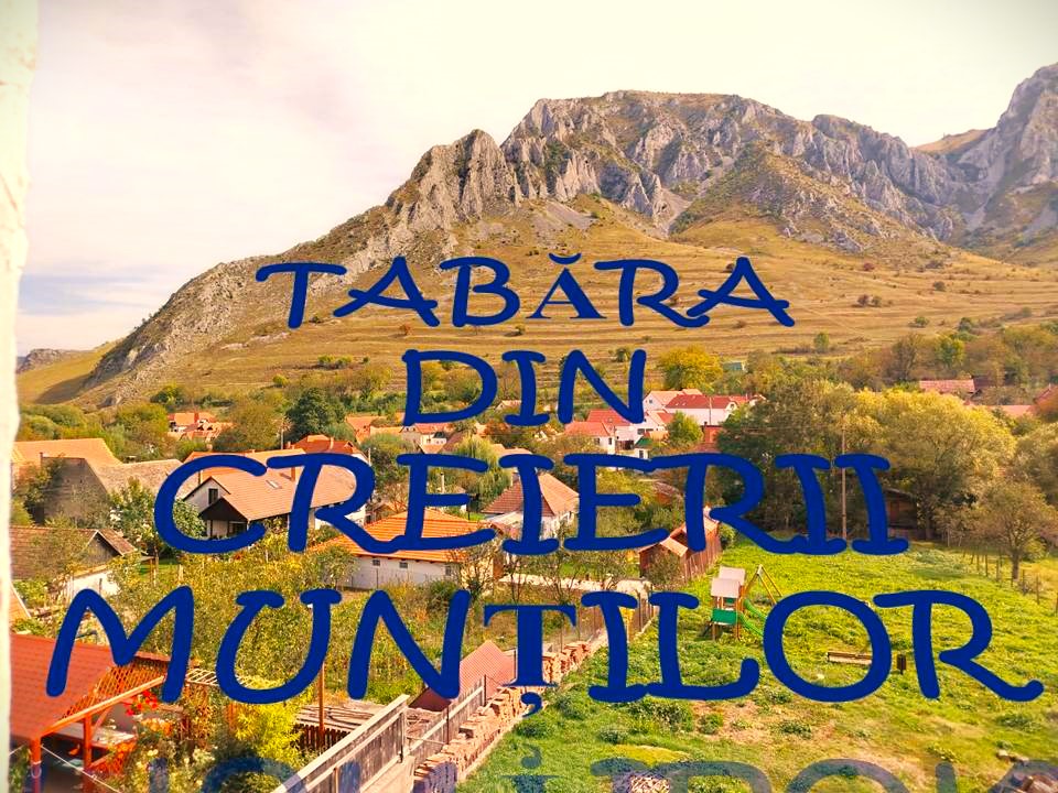 VERTICALI PENTRU ROMÂNIA: DINCOLO DE NUANȚELE GÂNDURILOR