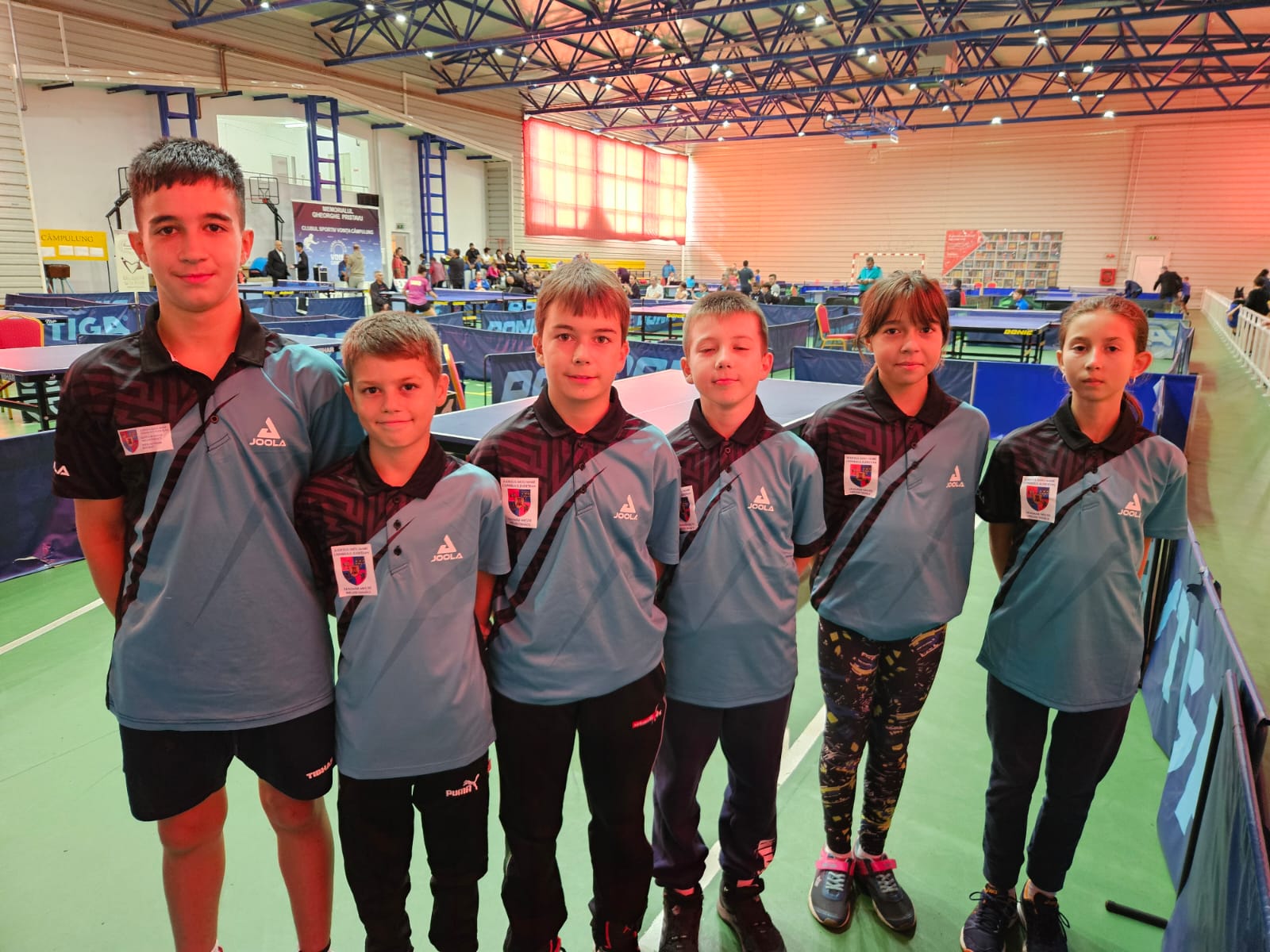 Competiții pe bandă rulantă pentru  ACS ARMAND SUPUR