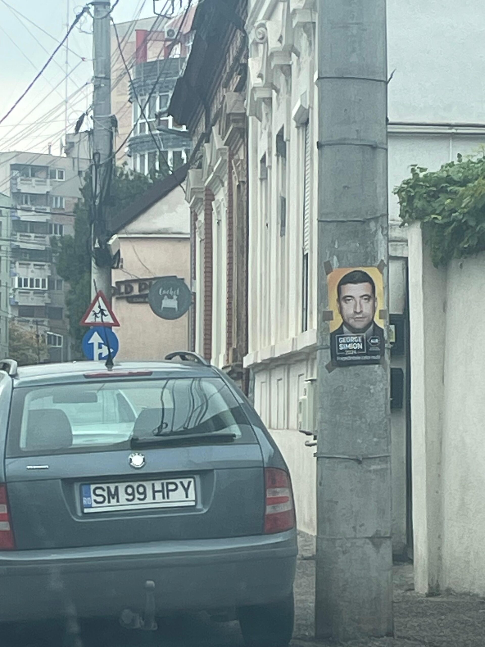 Georgică de pe stâlp