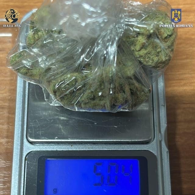 CERCETAȚI PENTRU TRAFIC DE CANABIS ȘI SUBSTANȚE PSIHOACTIVE