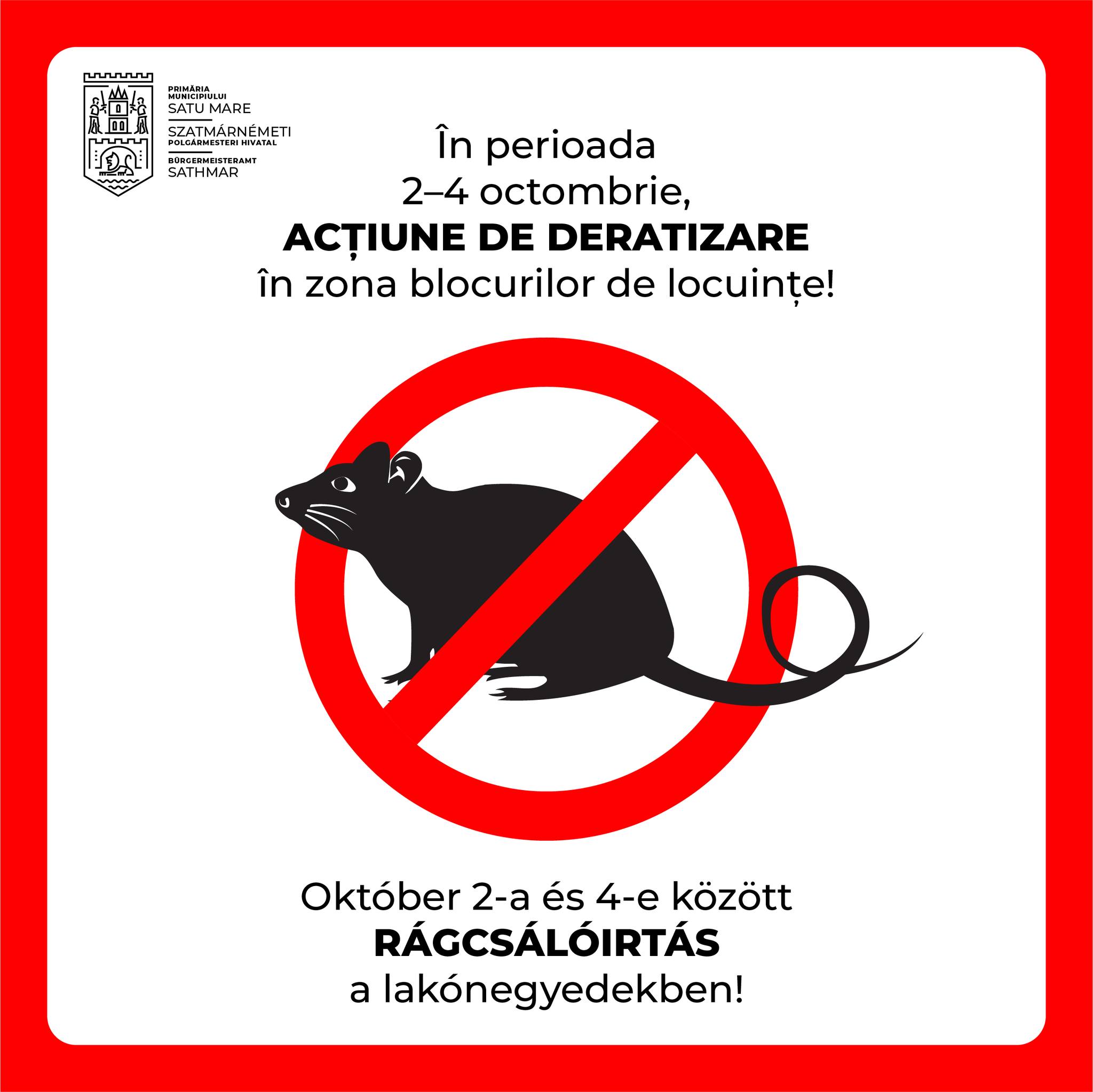 Acțiune de deratizare pentru combaterea rozătoarelor în zona blocurilor din oraș