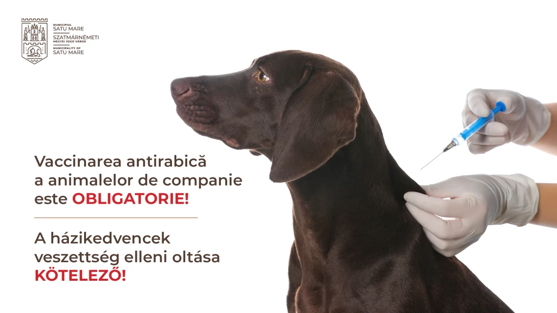 ALERTĂ! Caz de rabie la marginea județului. Sătmărenii, obligați să își vaccineze antirabic animalele