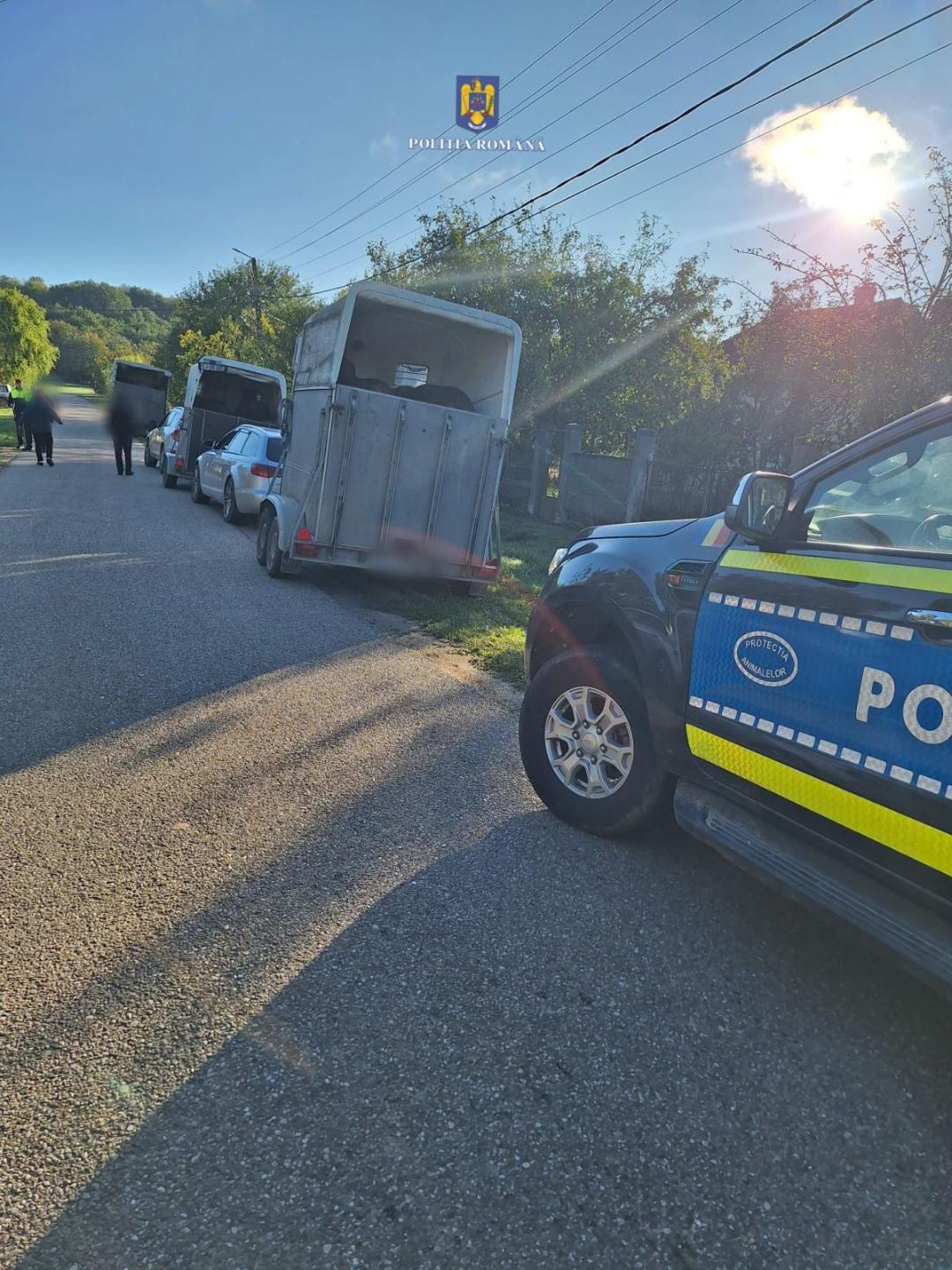 FOTO. Razie în zona târgului din Medieșu Aurit. Peste 80 de persoane legitimate