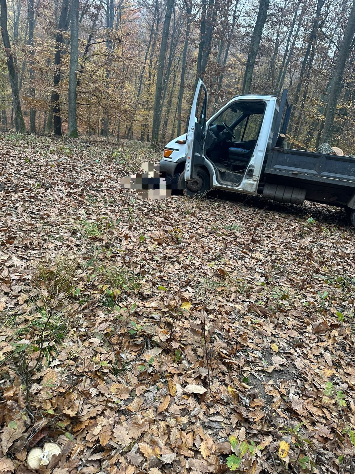 Tragedie în pădurea din Cehal. Un bărbat prins sub o autoutilitară încărcată cu lemne și-a pierdut viața