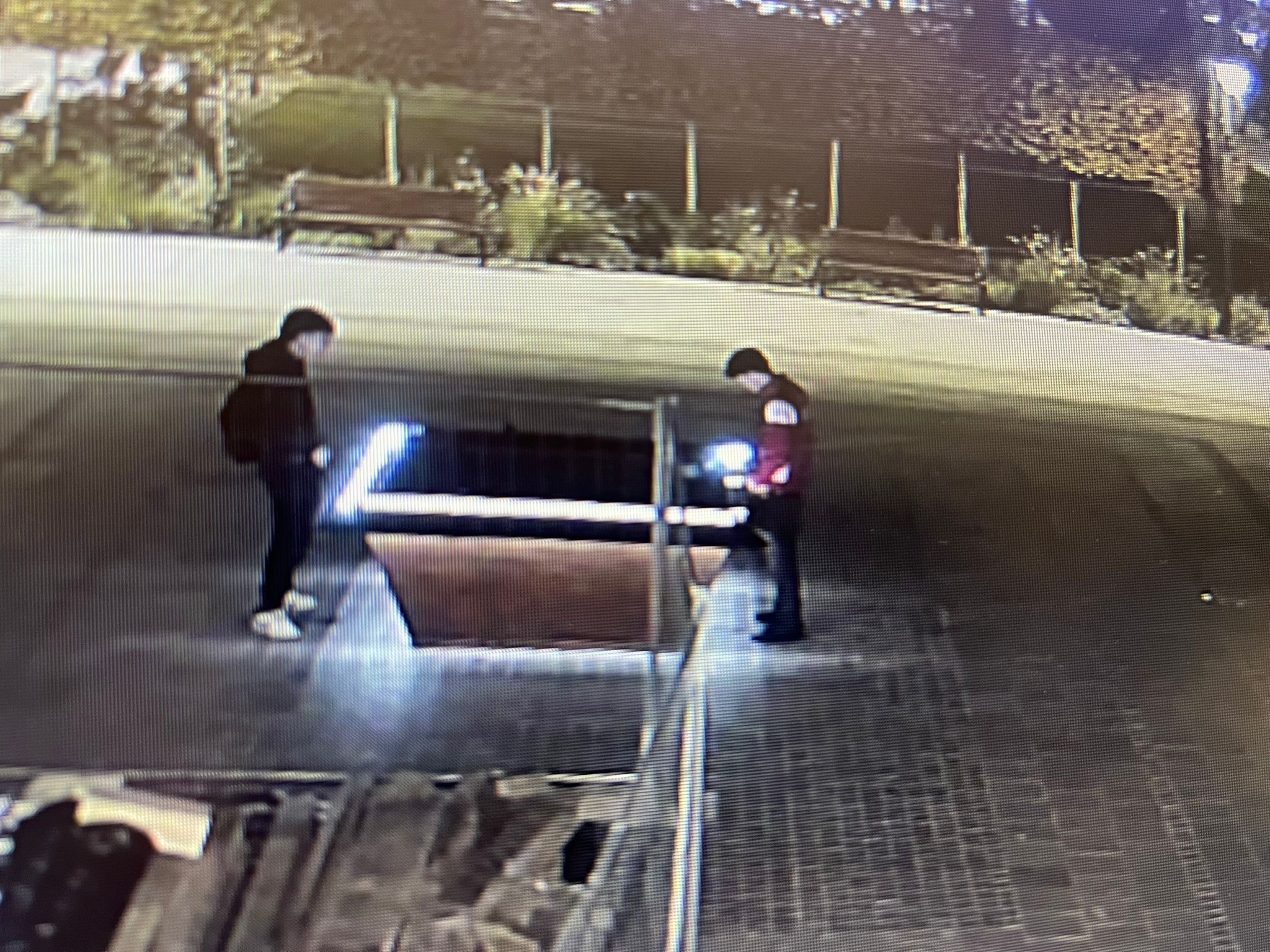 Polițiștii locali au surprins doi tineri care își satisfăceau nevoile fiziologice pe macheta din centrul istoric al orașului.