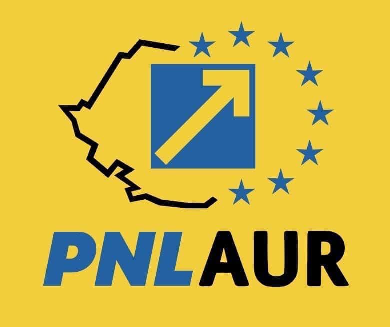 Alianța PNL + AUR funcționează și acum în județ și a pus un cârciumar viceprimar la Botiz!