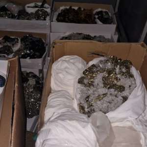 FOTO. Flori de mină în valoare de 20.000 de euro, descoperite de polițiștii de frontieră