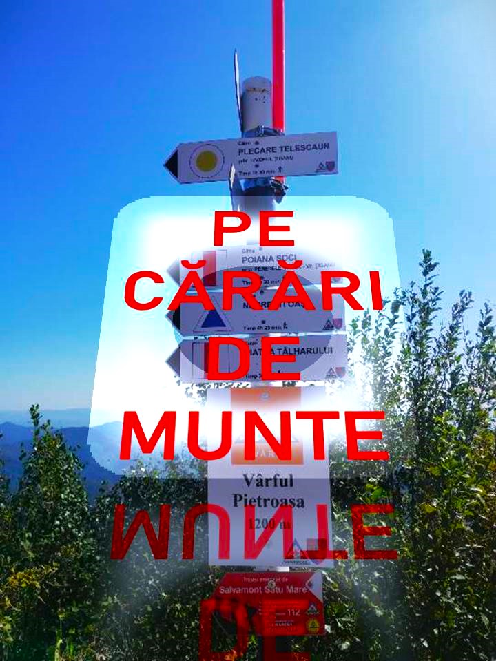 VERTICALI PENTRU ROMÂNIA: COLIVIA CU FLUTURI