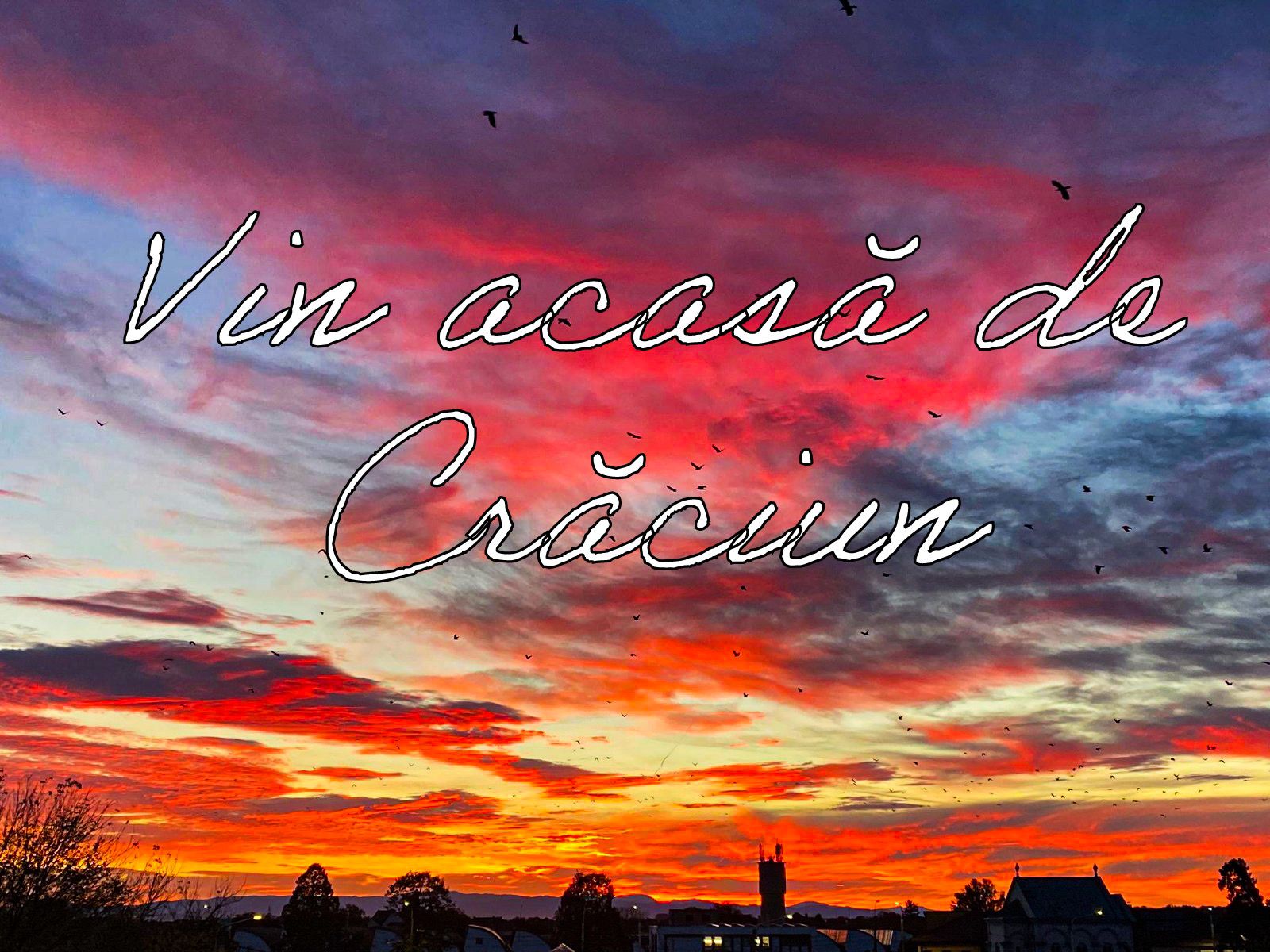 VERTICALI PENTRU ROMÂNIA: REGĂSIRI