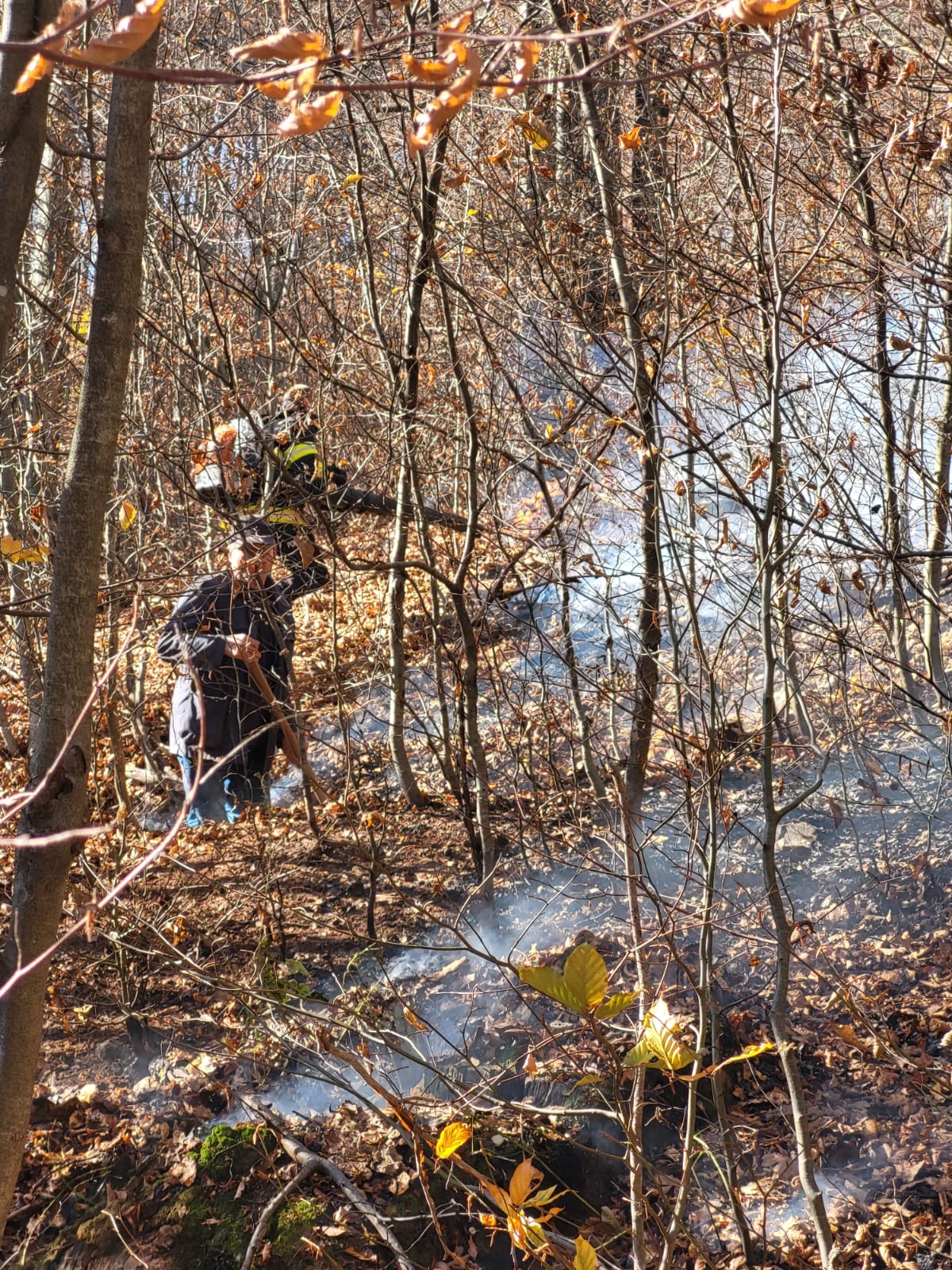 Intervenție pentru stingerea unui incendiu de litieră în zona localității Huta Certeze