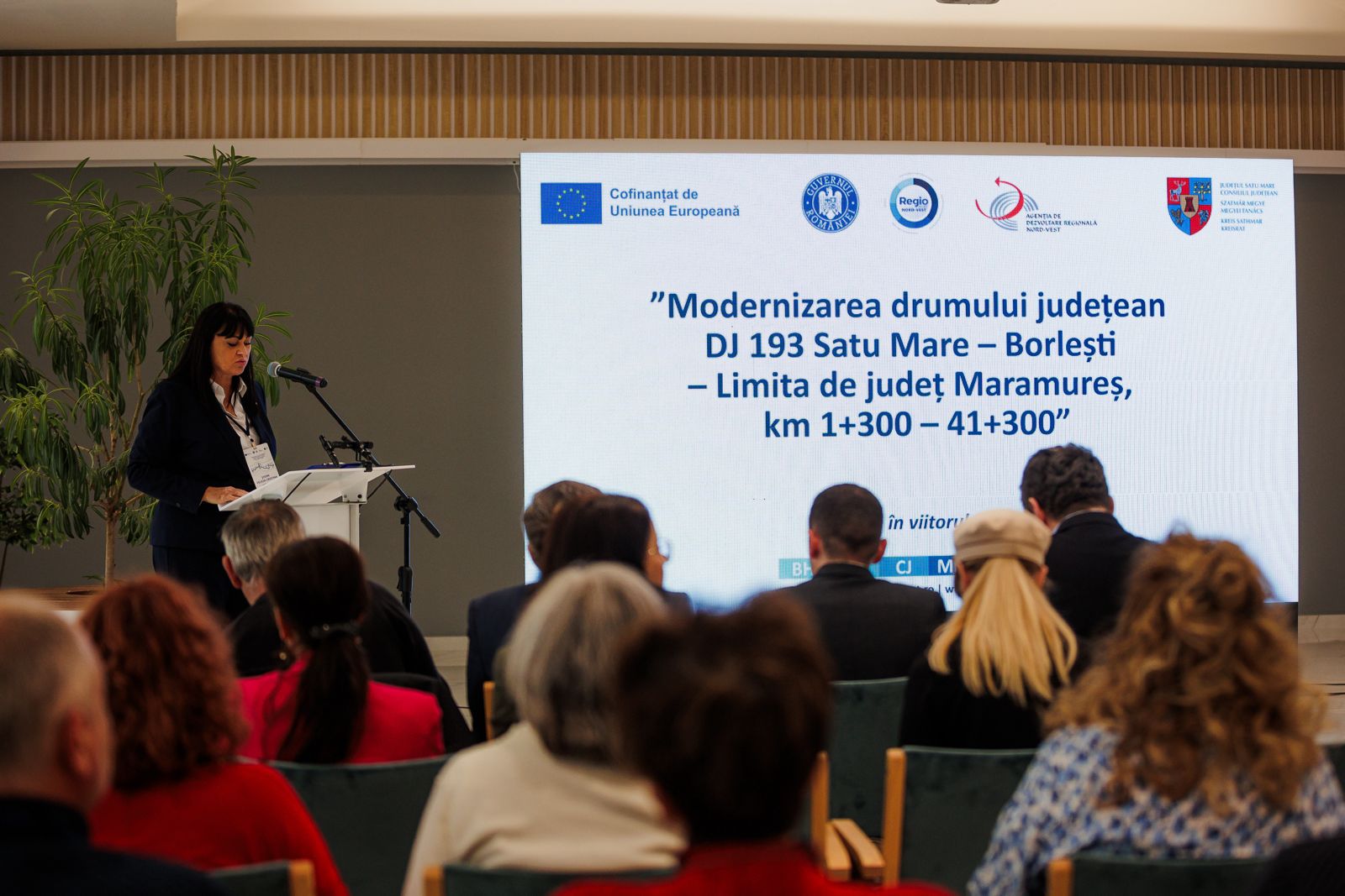 FOTO. PROIECT STRATEGIC pentru Satu Mare. Cel mai lung drum județean va fi modernizat integral