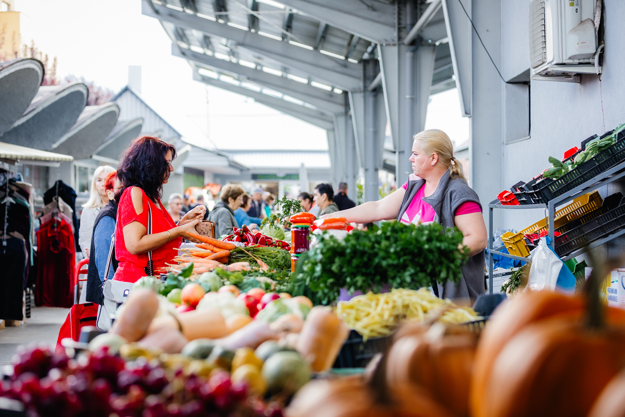 IMPORTANT. Ajutor de minimis pentru producătorii sătmăreni