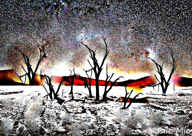 Pagina de cultură de Vasile Mic