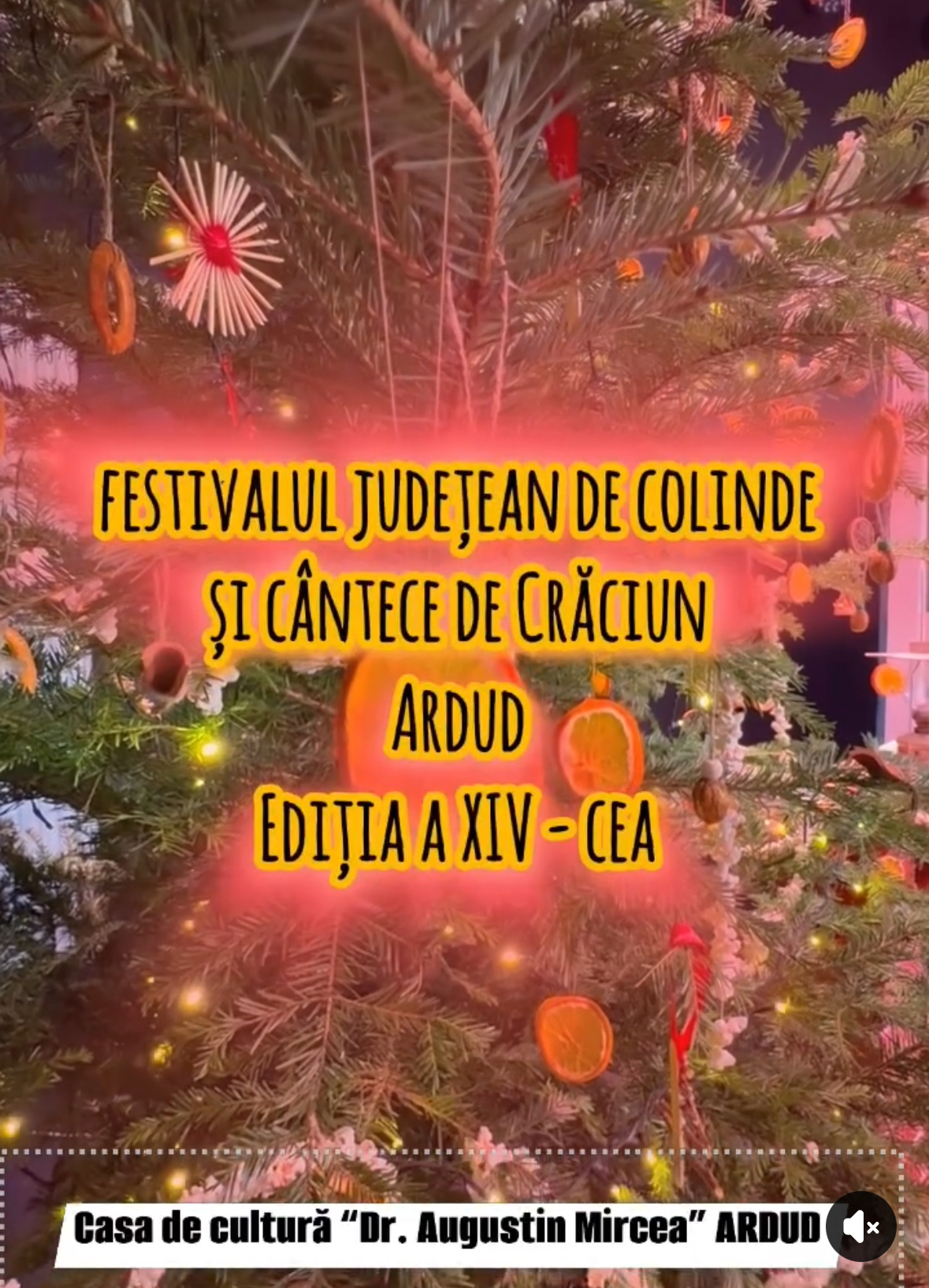 Festivalul de Colinde și Cântece de Crăciun – o tradiție de suflet la Ardud