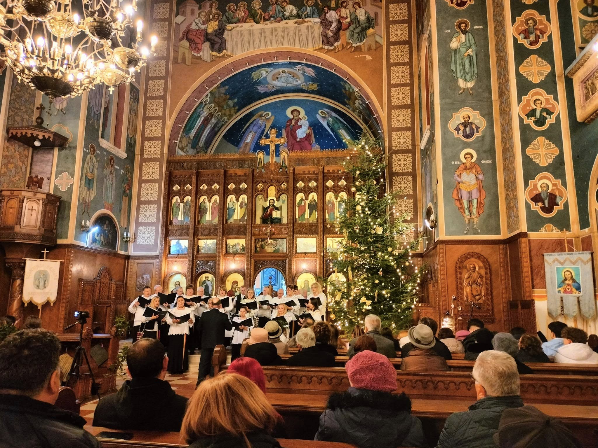 Rotary Club Satu Mare Samus organizează o serie de acțiuni caritabile în luna cadourilor!