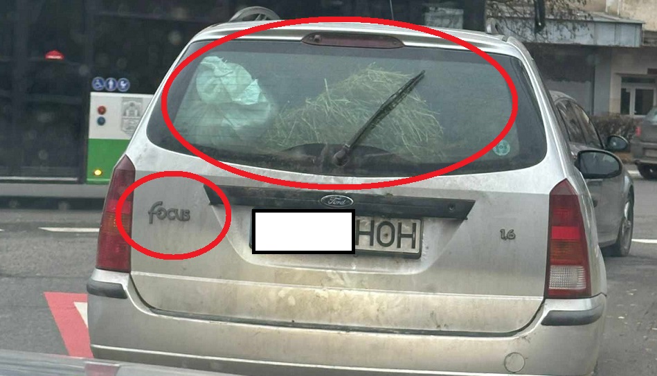 Cu focu(sul) la ei!!!