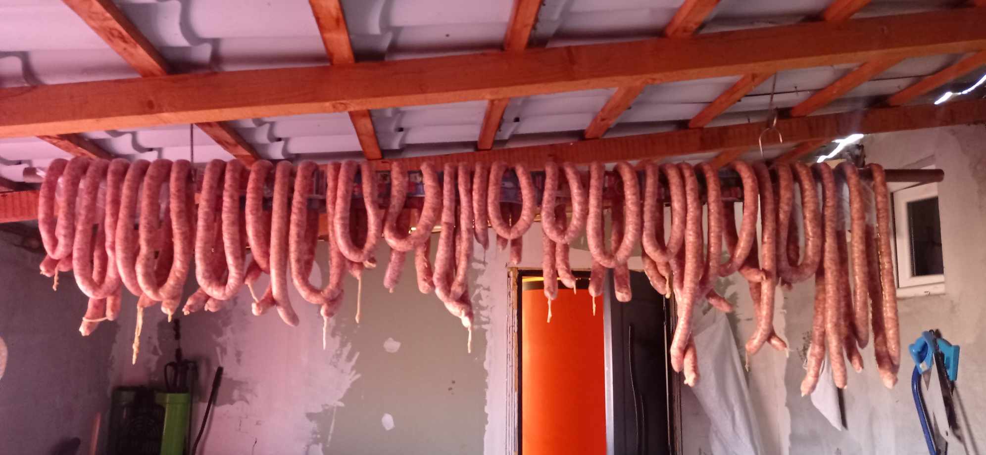 „Ghiţă” în sezonul marii înțepături!!!