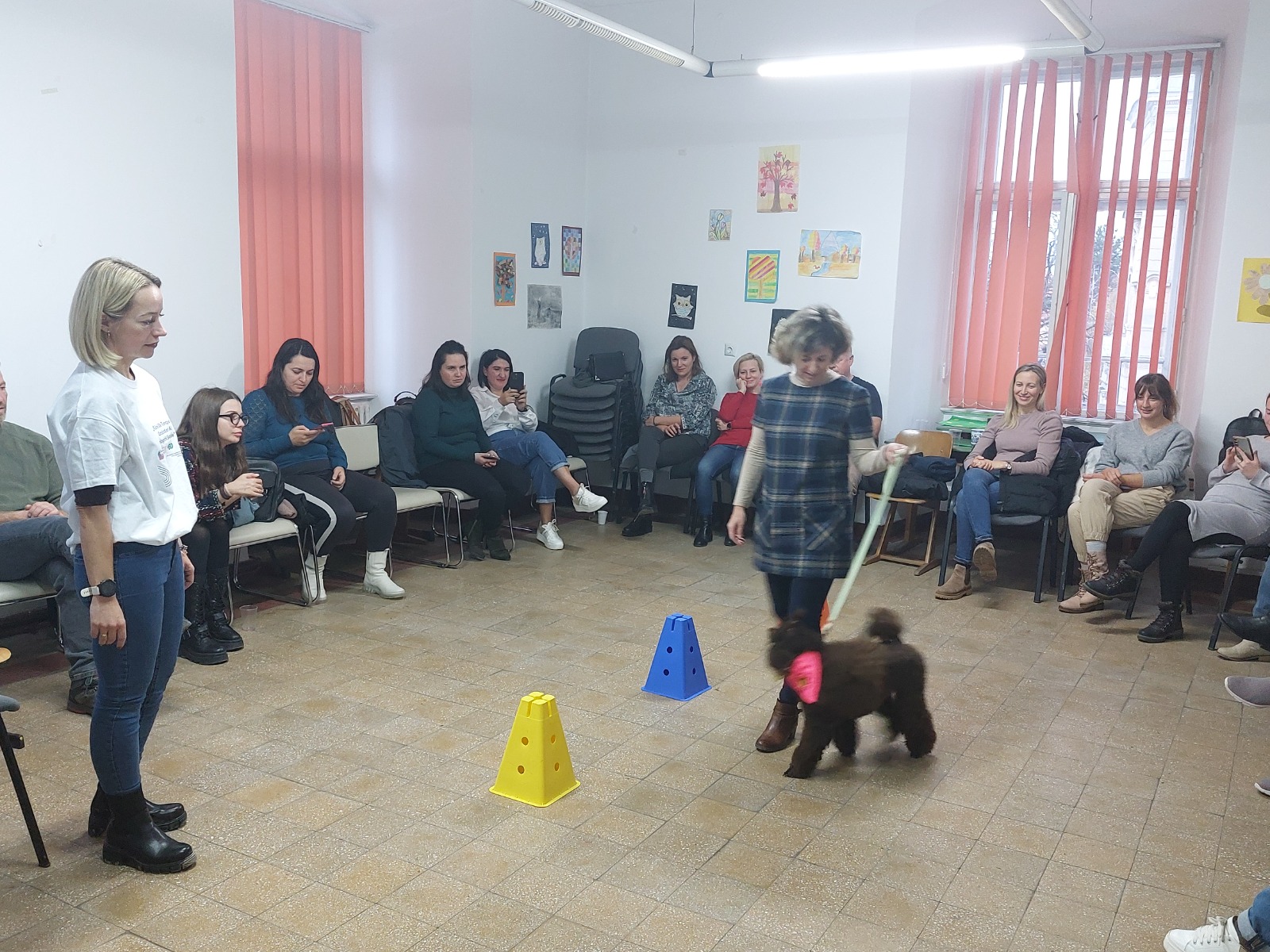 Cursuri organizate de Asociația Angel Dog, pentru cei care doresc să practice terapia asistată de câine