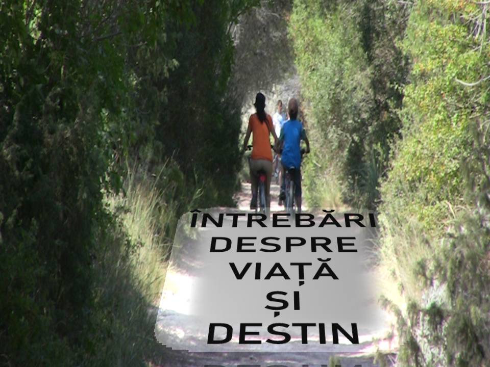 VERTICALI PENTRU ROMÂNIA: COLIVIA CU FLUTURI