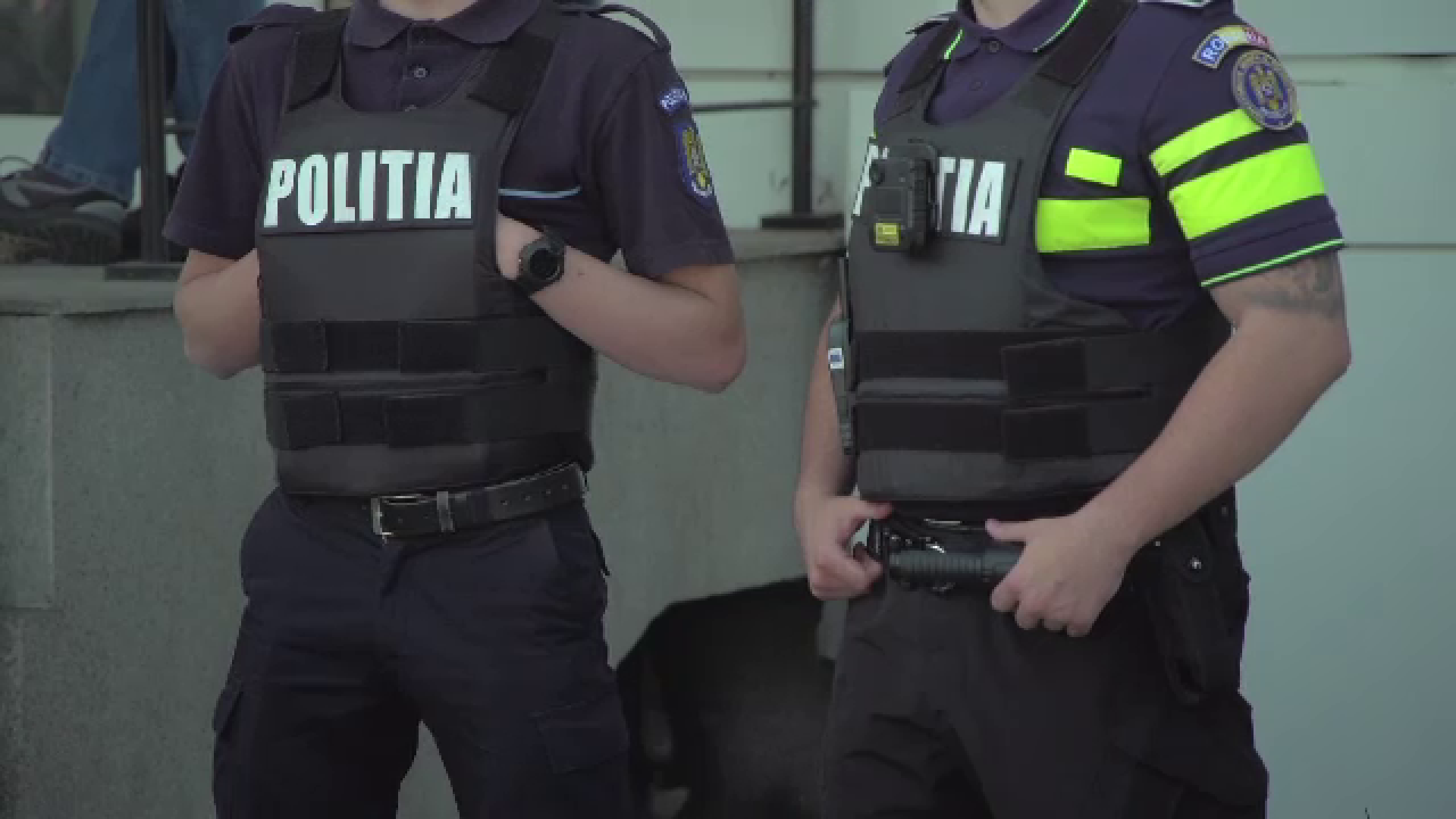 Scrutin electoral parlamentar liniştit la Satu Mare. Nu au fost semnalate fapte ilegale majore în judeţ