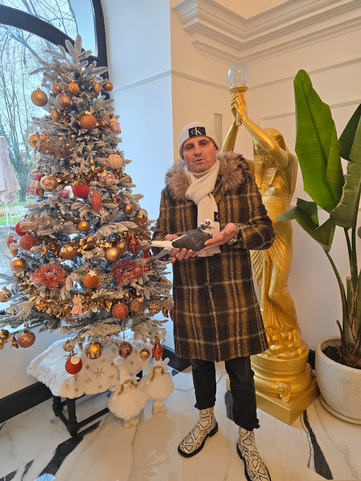 Eveniment columbofil la Satu Mare