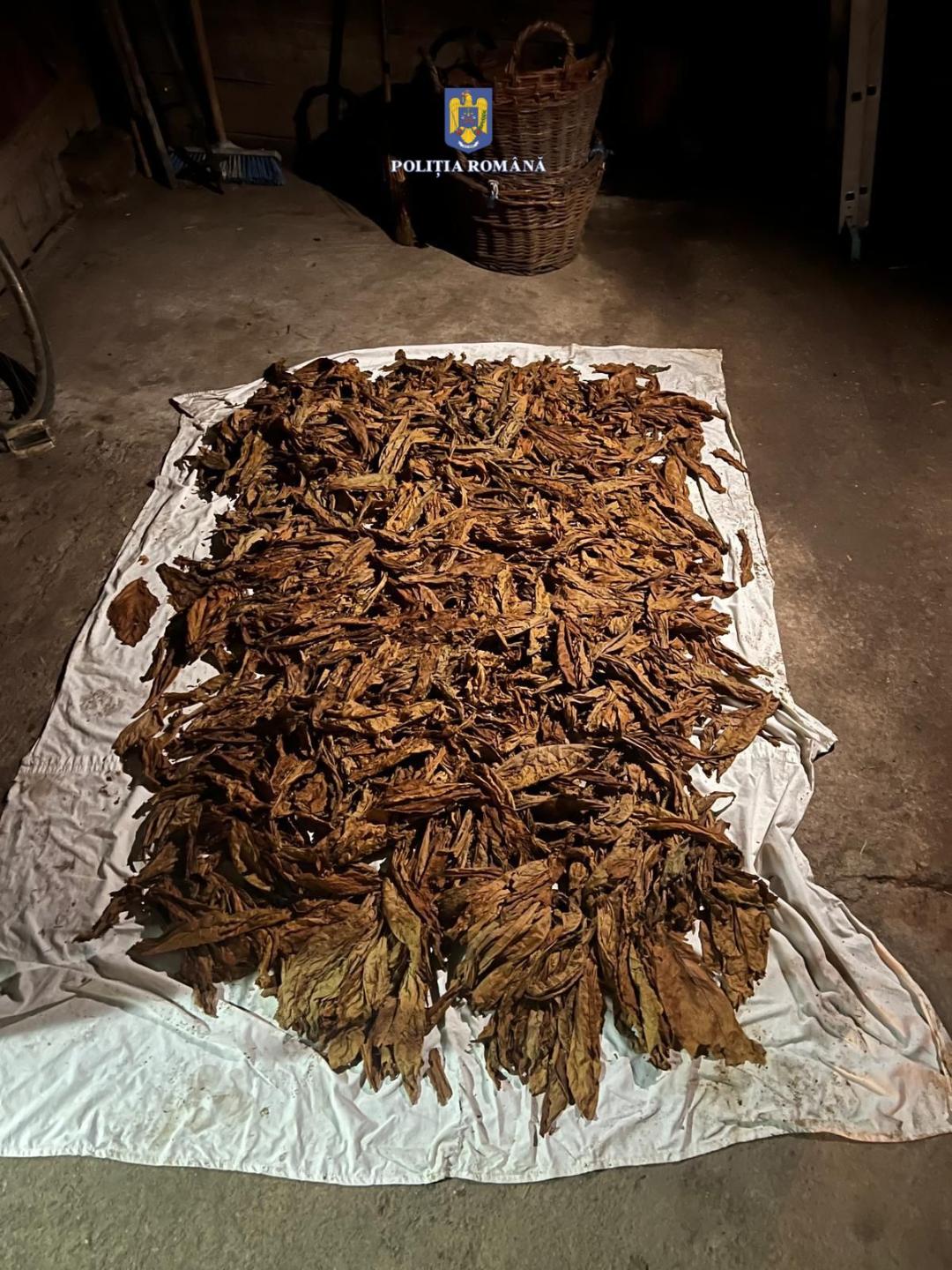 Peste 600 de kilograme de tutun confiscate de către polițiști