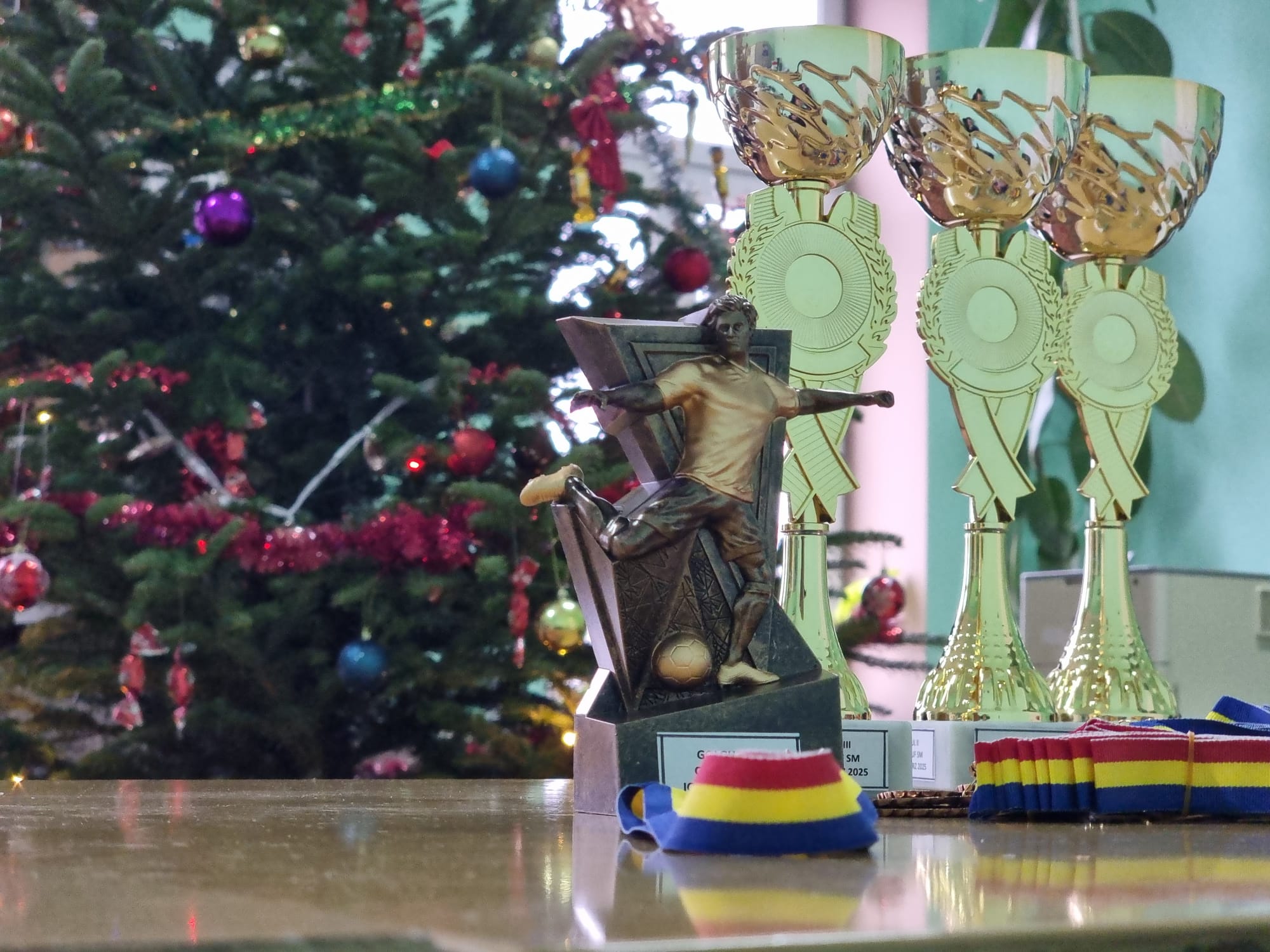 Program Cupa AJF Satu Mare - Ionel Borz 2025