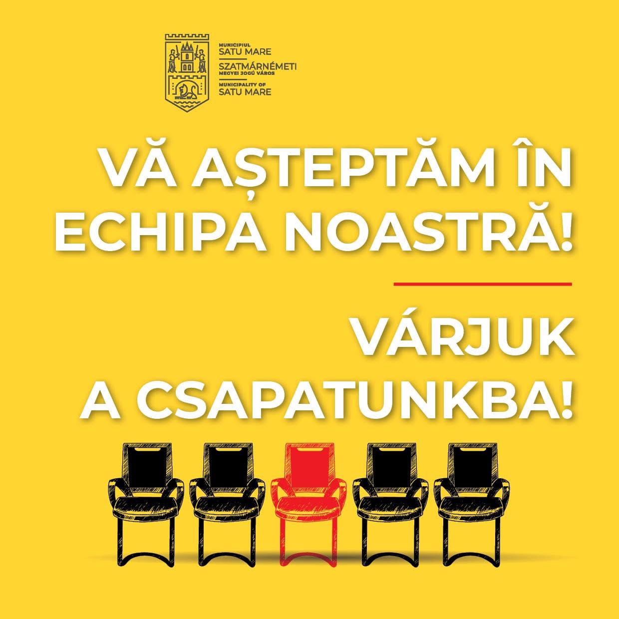 Primăria Municipiului Satu Mare scoate la concurs un post vacant de consilier pentru compartimentul Cadastru, Serviciul Agricol şi Legile Proprietăţii