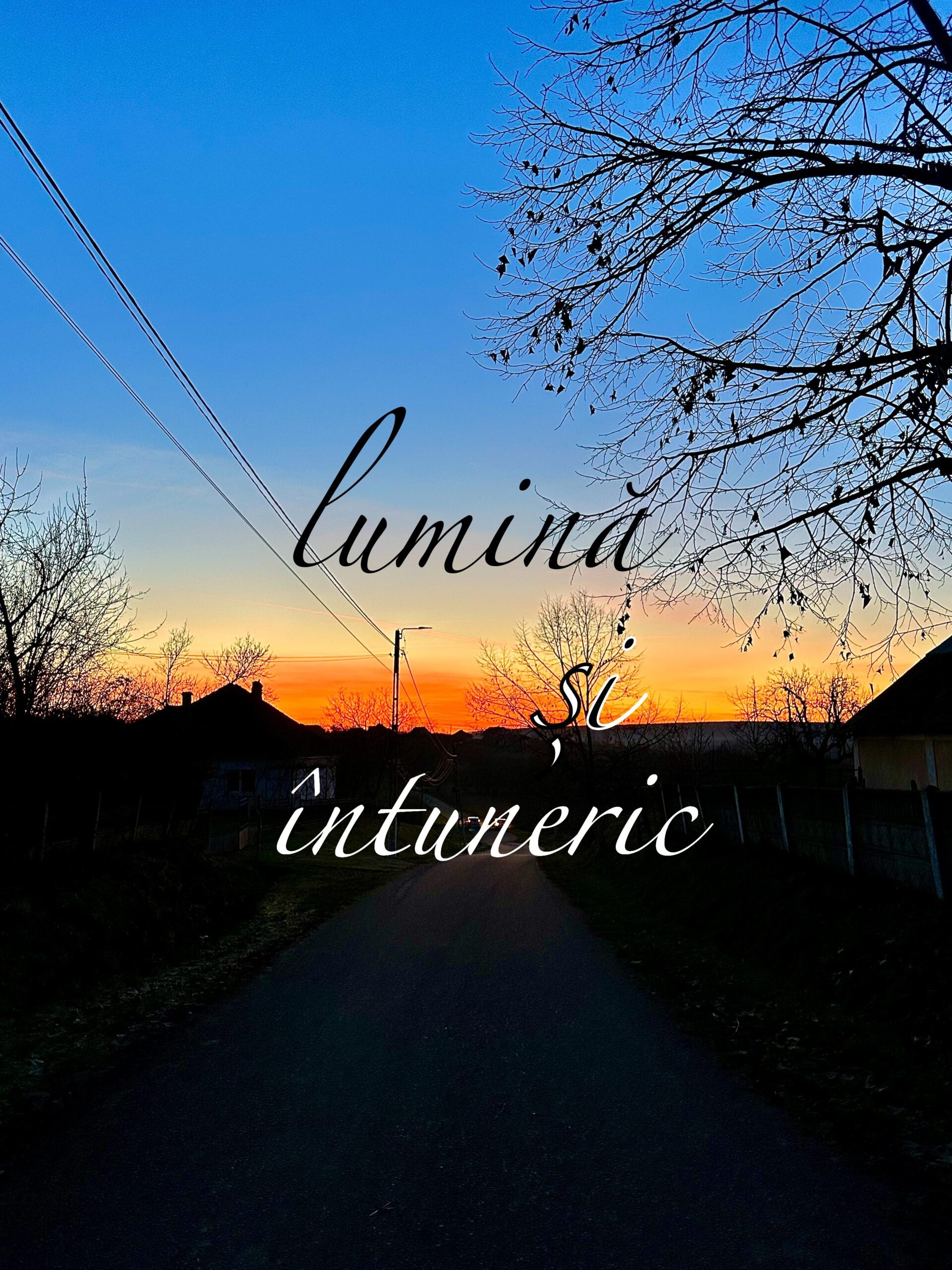 VERTICALI PENTRU ROMÂNIA: REGĂSIRI