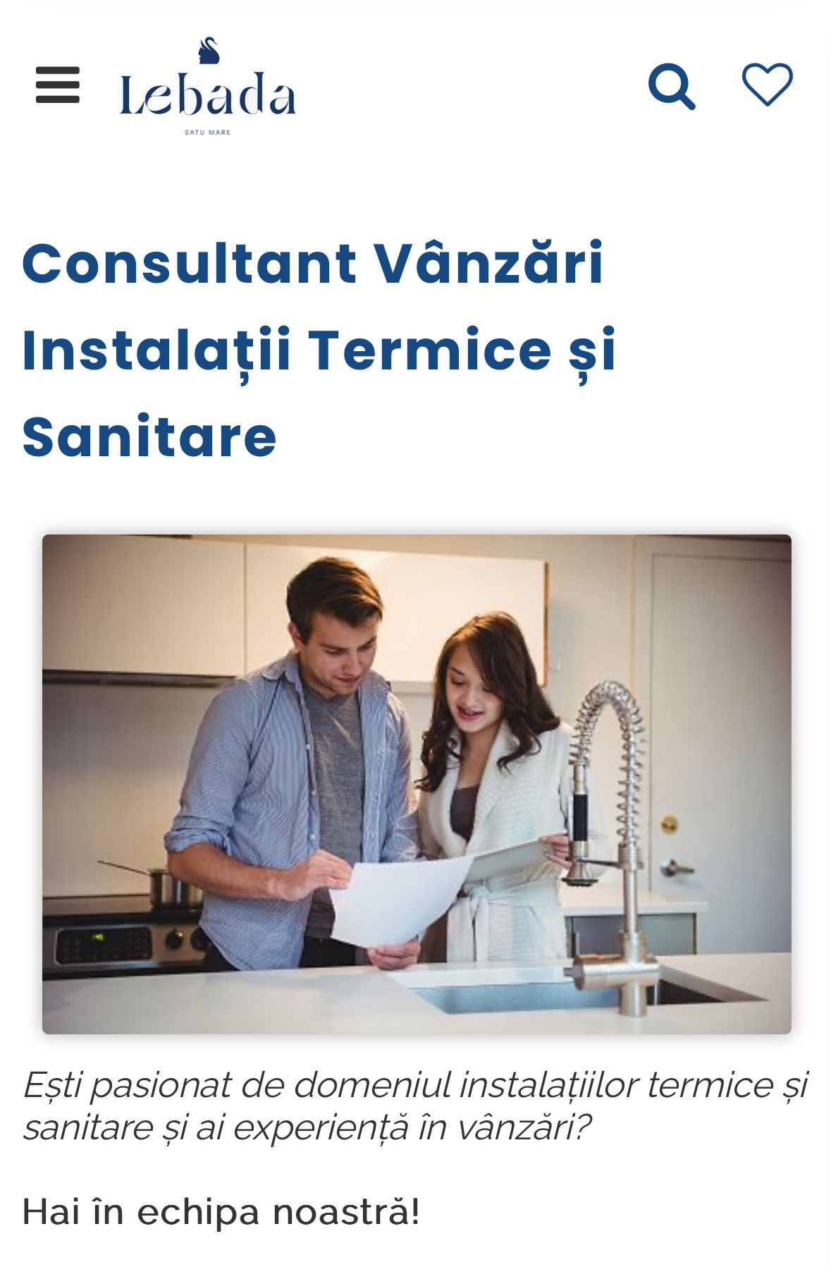 Lebăda Satu Mare angajează un consultant vânzări instalații termice și sanitare