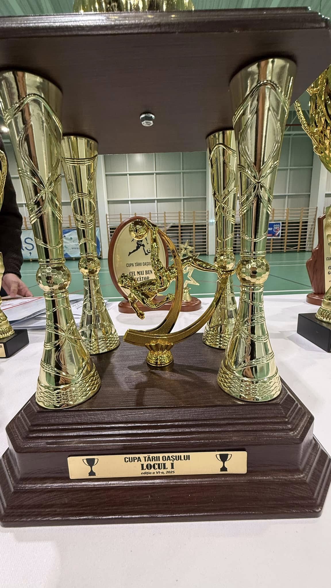 La Cupa “Țării Oașului” s-a jucat și pentru Tony Kanalos