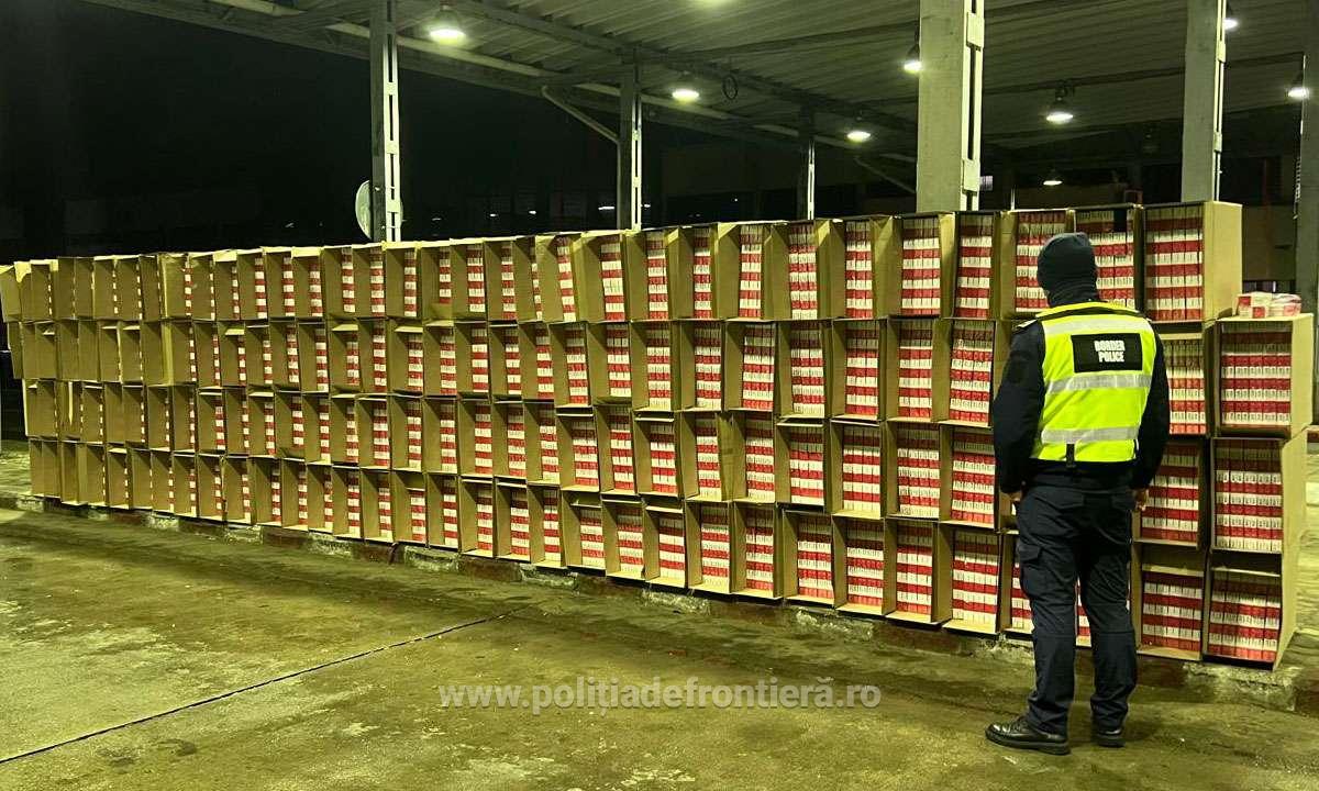 VIDEO FOTO. CAPTURĂ RECORD!!! Zeci de mii de pachete cu țigări, în valoare de peste 1,3 milioane lei, descoperite ascunse într-un camion încărcat cu varză