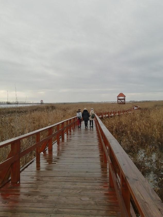 Zone umede din județul Satu Mare – arii naturale protejate