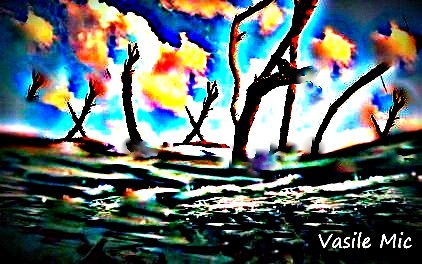 Pagina de CULTURĂ realizată de Vasile Mic!