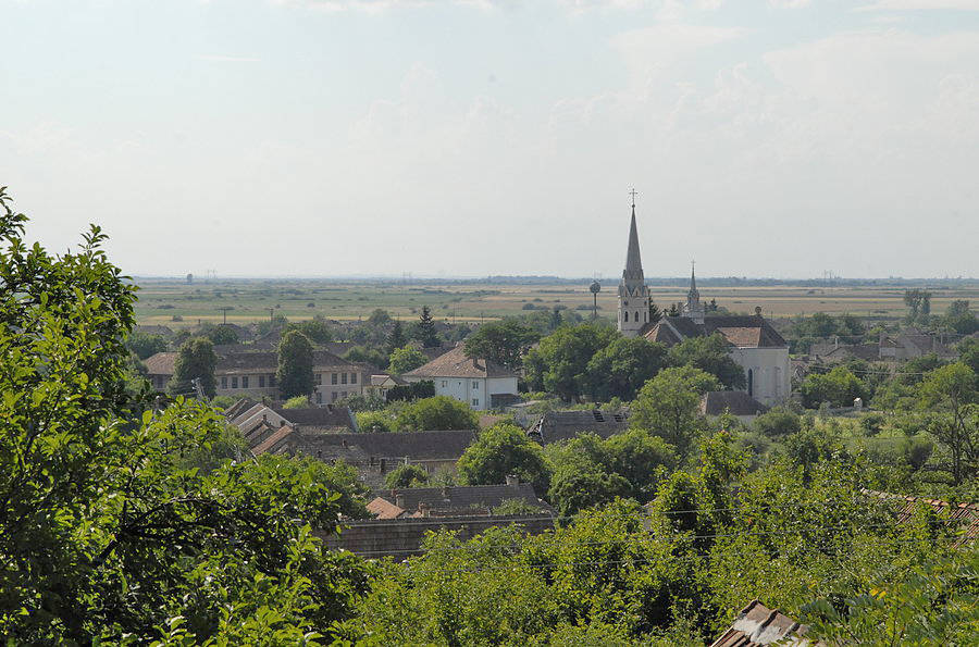 Beltiug – Istorie, tradiție și vinuri autentice