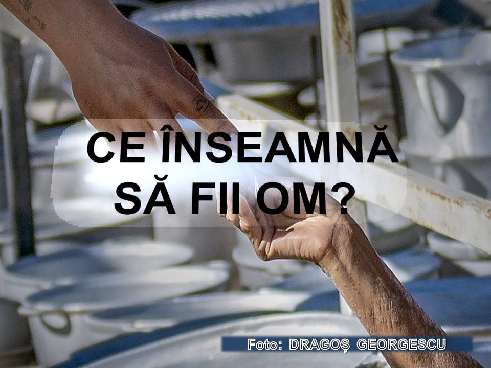 VERTICALI PENTRU ROMÂNIA:  NOPȚI ALBE PENTRU ZILE ALBE