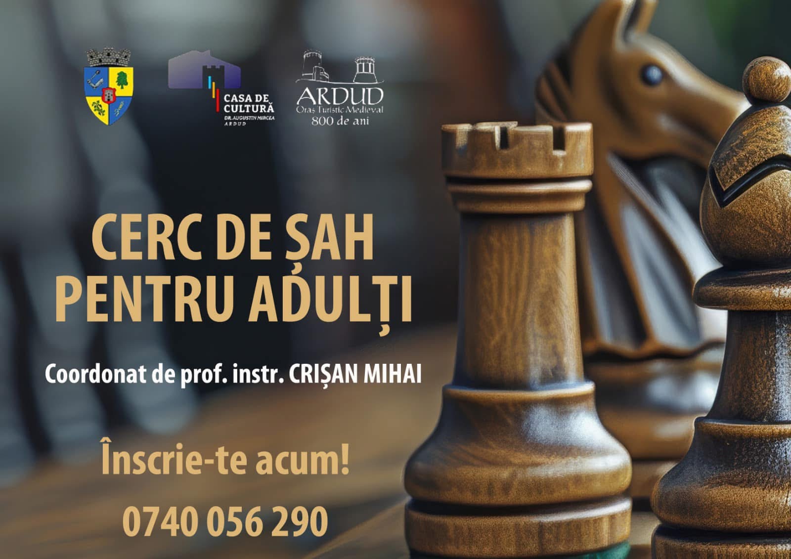 Cerc de șah pentru adulți la Casa de Cultură din Ardud