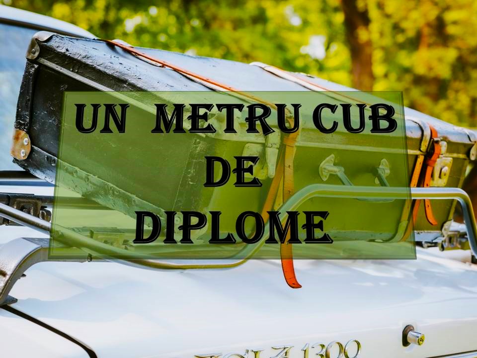 VERTICALI PENTRU ROMÂNIA: CONVULSII TĂCUTE