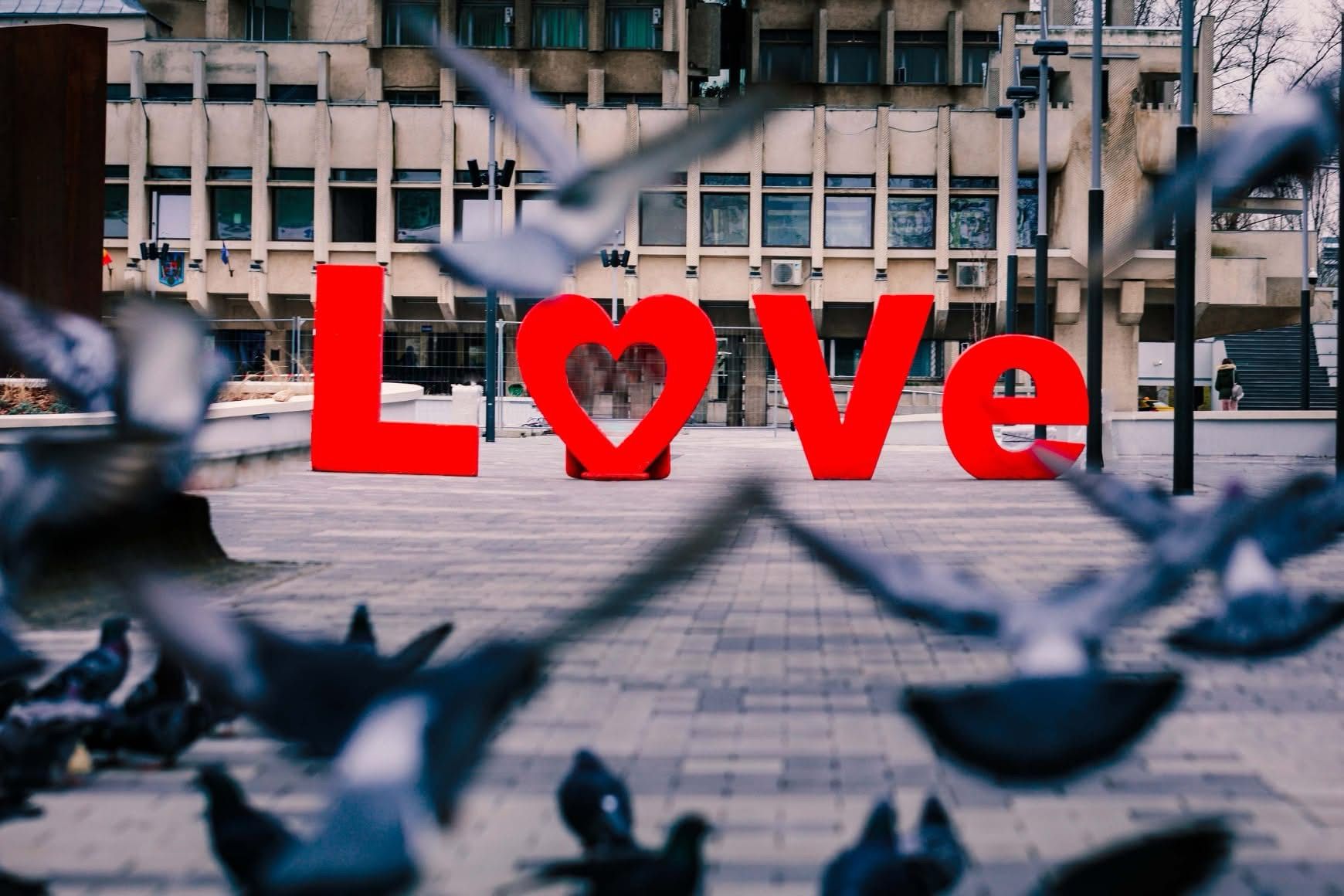 Mai sunt doar câteva zile până la Ziua Îndrăgostiților!