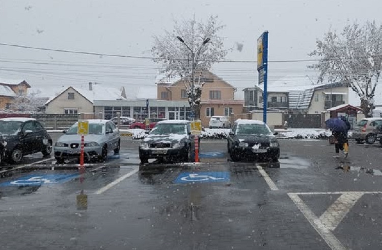 Parcați ca niște...