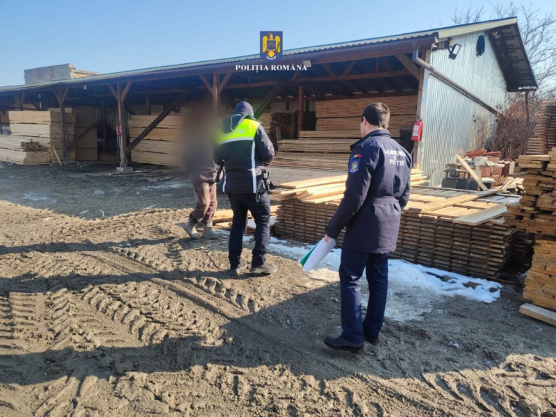 FOTO. Zeci de metrii cubi de cherestea deținuți ilegal de un depozit de cherestea din Oaș