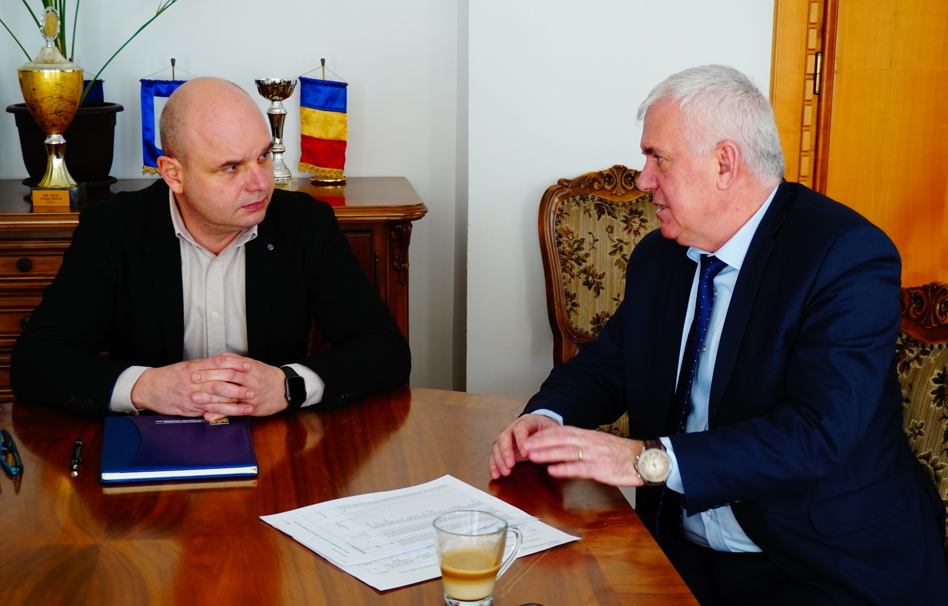 Analiză financiară a execuției bugetare la nivelul unităților administrativ-teritoriale din Satu Mare