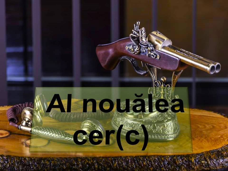 VERTICALI PENTRU ROMÂNIA: CONVULSII TĂCUTE