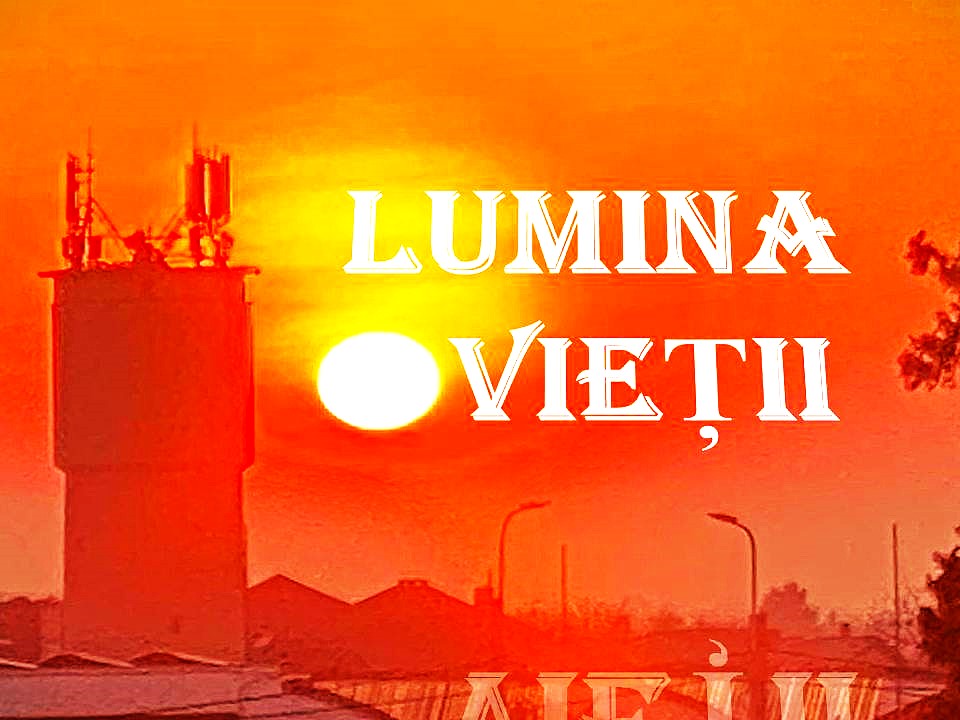 VERTICALI PENTRU ROMÂNIA: REGĂSIRI